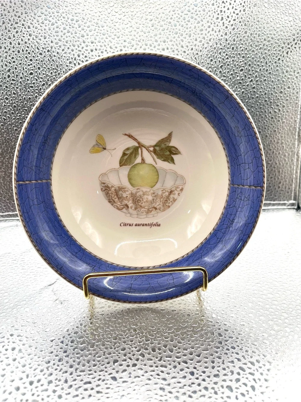 WEDGEWOOD Sarah's Garden Queensware Blue-rimmed Cereal/Soup Bowl 6.75 in. (D)